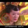 49图库资料大全app_49图库app手机下载-最火软件站4